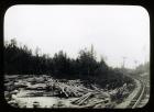 Moose River above Lowell Falls